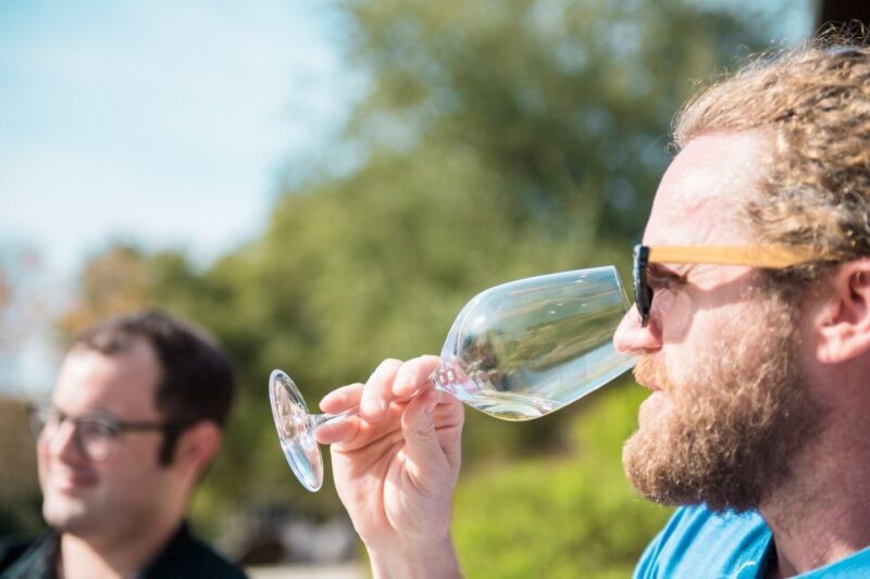 From Austin: Hill Country BBQ & Wine Shuttle - Final Thoughts on the Salt Lick & Hill Country Wineries Shuttle