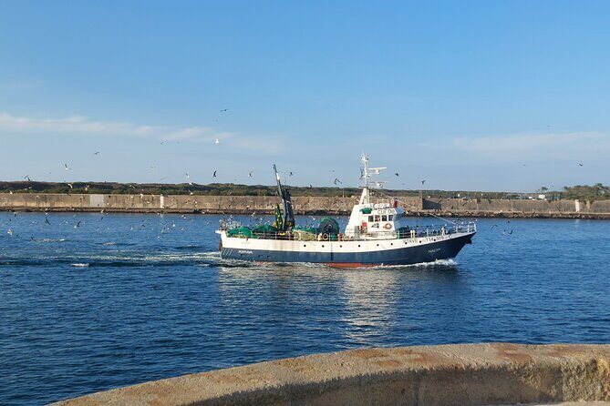 From Aveiro: Costa Nova, Barra, Vista Alegre - Half-Day Trip - A Deep Dive into the Aveiro Half-Day Tour