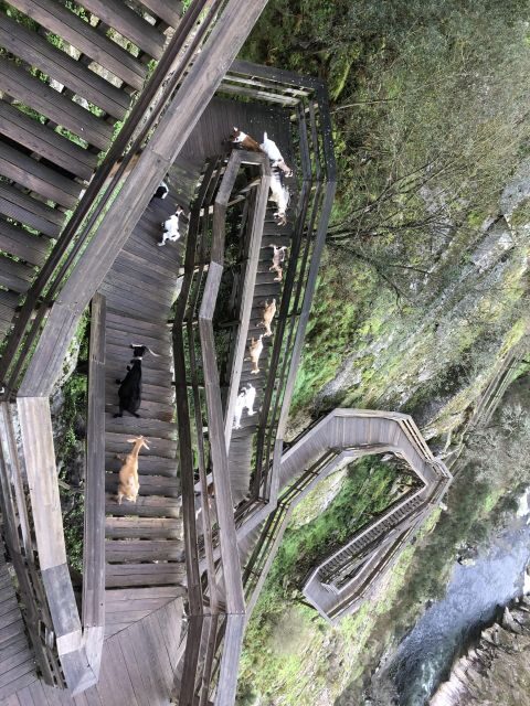 From Aveiro - Paiva Walkways and 516 Bridge - Final Thoughts: Who Should Consider This Tour?