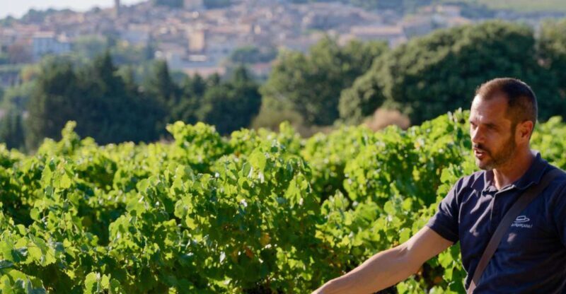 From Avignon: Châteauneuf du Pape Half-Day Wine Tour - An In-Depth Look at the Châteauneuf-du-Pape Half-Day Tour