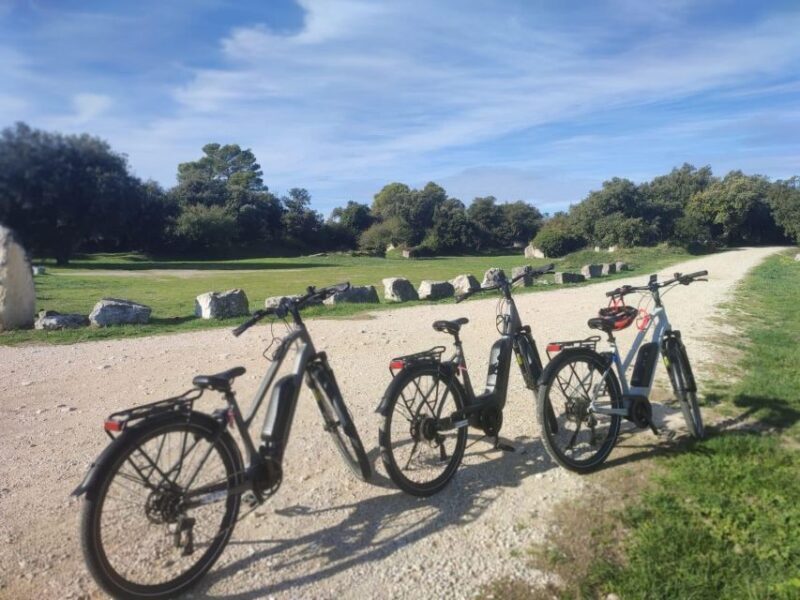 From Avignon: Full-Day E-Bike Tour in the Luberon Region - An In-Depth Look at the Full-Day E-Bike Tour in the Luberon