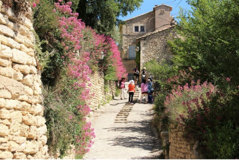 From Avignon: Half-Day Baux de Provence and Luberon Tour - Experience the Best of Provence in Half a Day: Baux de Provence and Luberon Tour