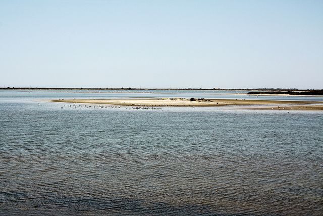 From Avignon: Half-Day Camargue and Saintes-Maries-de-la-Mer - Key Points