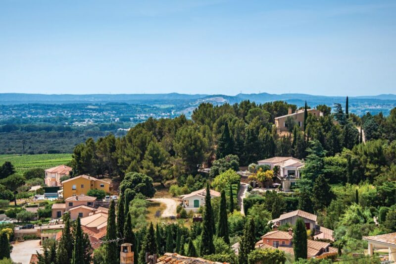 From Avignon: Half-Day Great Vineyards Tour - Who Will Love This Tour?
