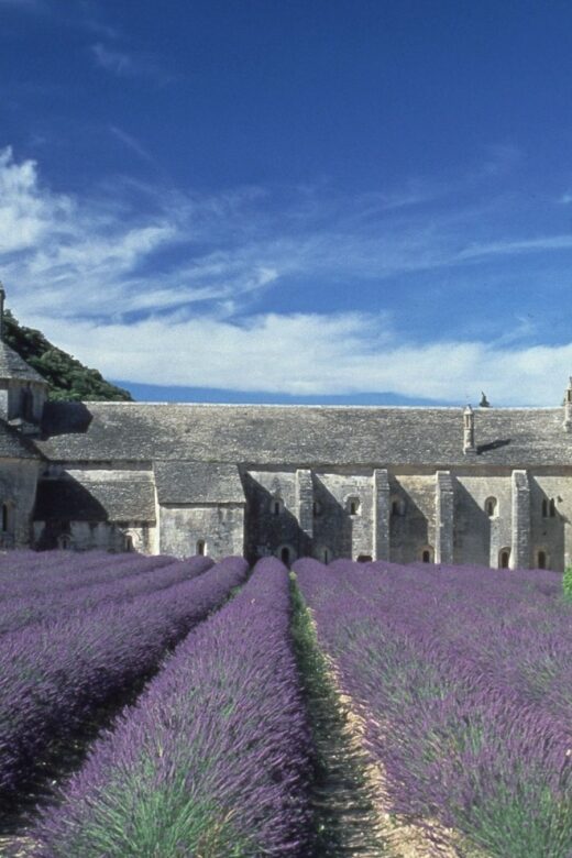 From Avignon: Half-Day Hilltop Villages of Luberon - Key Points