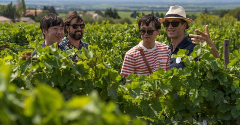 From Avignon: Luberon and Chateauneuf-du-Pape Full-Day Tour - Key Points