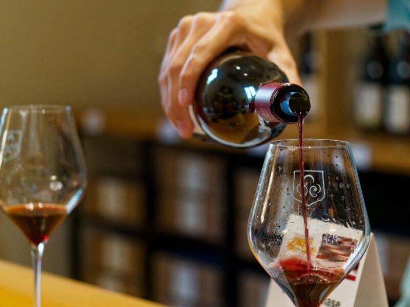 From Avignon: Luberon and Chateauneuf-du-Pape Full-Day Tour - Who Would Enjoy This Tour?