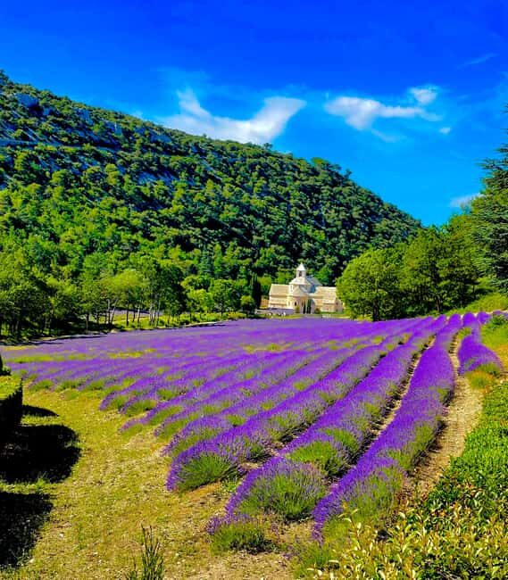 From Avignon: Provence Highlights Full-Day Tour - Key Points