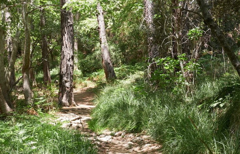 From Ayia Napa: Grand Tour Jeep Safari with Lunch - Final Thoughts