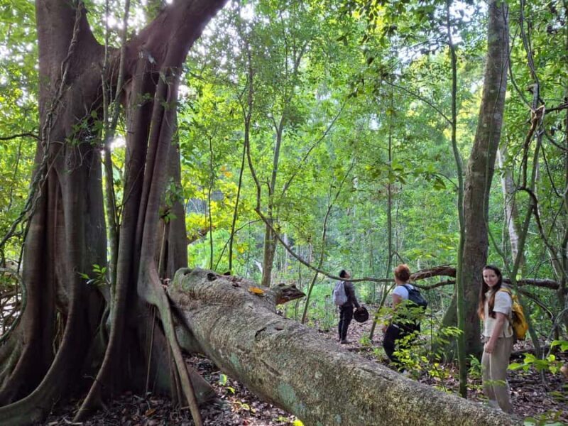 From Bacalar: Calakmul Ruins Expedition & Jungle Trek - What Makes This Tour Special