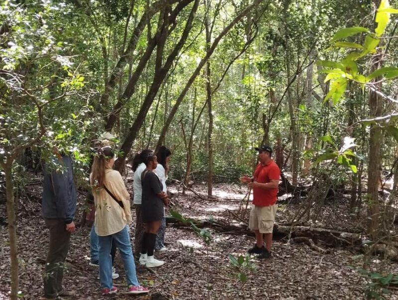 From Bacalar: Calakmul Ruins Expedition & Jungle Trek - The Price and Value Proposition