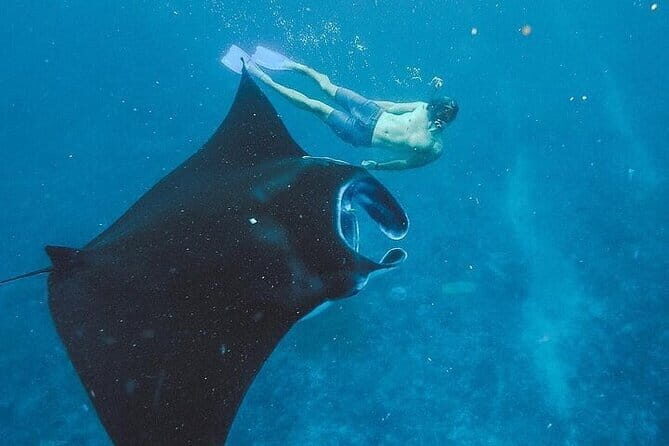 From Bali: Nusa Penida Snorkeling and Island Tour - In-Depth Review of the Bali Nusa Penida Snorkeling and Island Tour