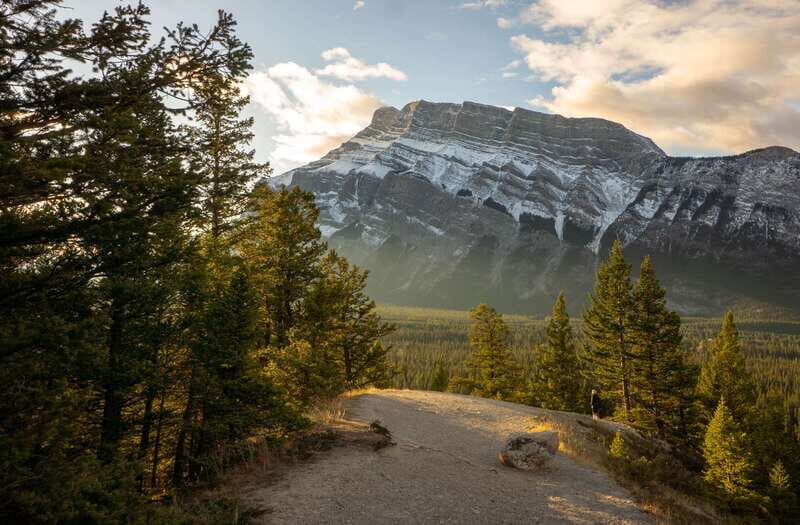 From Banff: Banff Wildlife & Scenic Highlights Premium Tour - An In-Depth Look at the Banff Wildlife & Scenic Highlights Tour
