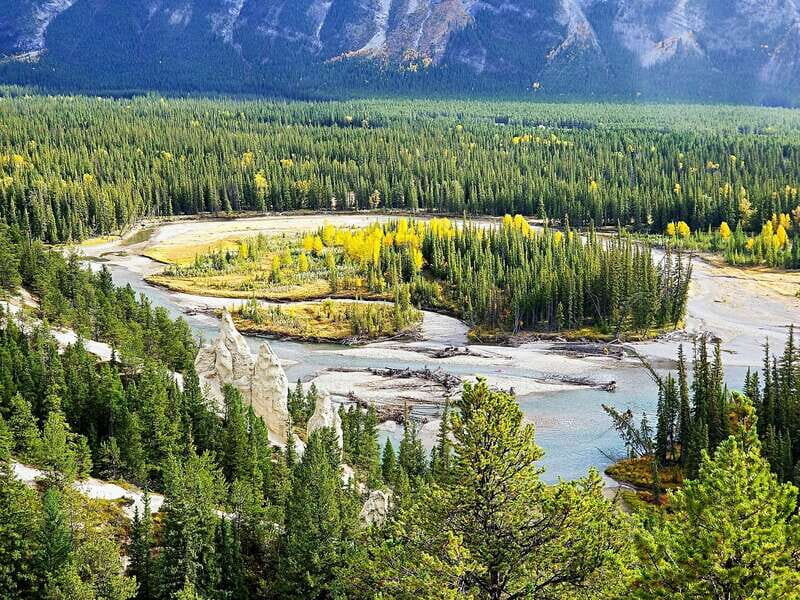 From Banff/Canmore: Deep 1 Day Tour in Banff National Park - Who Will Love This Tour?