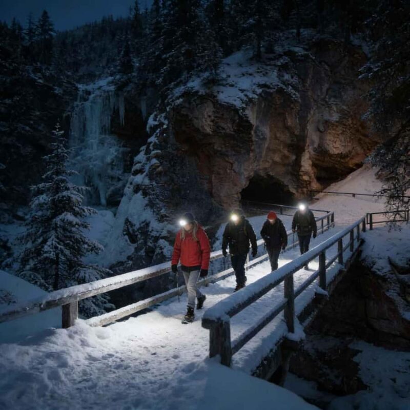 From Banff Guided Johnston Canyon Night Walk and Stargazing - Who Would Enjoy This Tour?