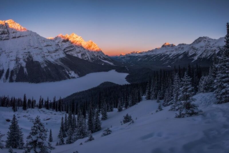 From Banff: Icefields Parkway & Abraham Lake Ice Bubbles - Who Will Love This Tour?