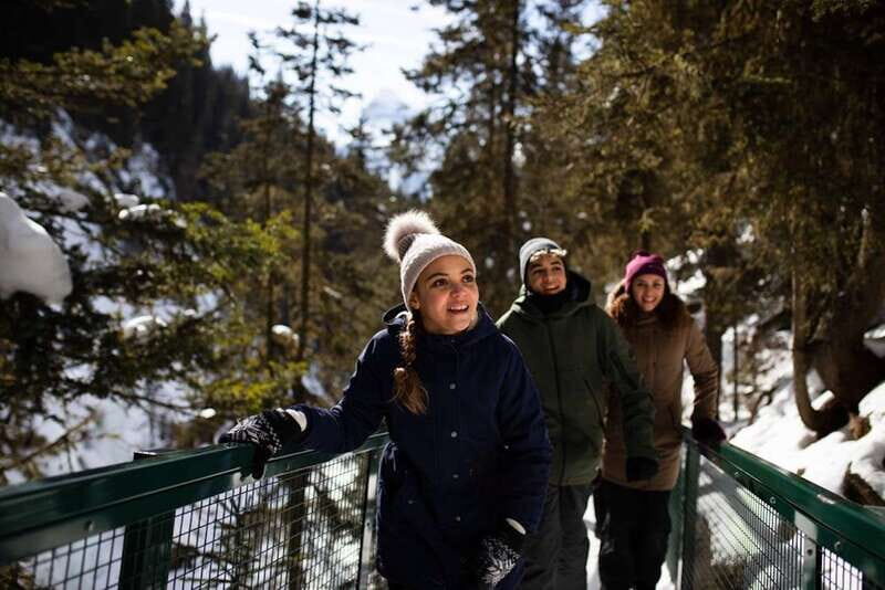 From Banff: Winter Wonderland; Lake Louise & Johnston Canyon - Key Points