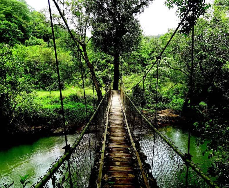 From Bangalore: 7 Days Coorg & Hassan Heritage Private Tour - Frequently Asked Questions