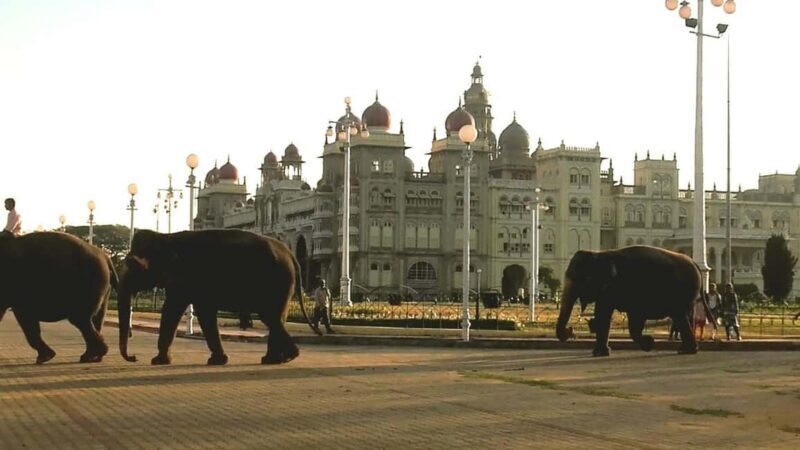 From Bangalore : Mysore Sightseeing full day tour - Key Points