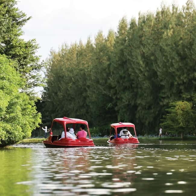 From Bangkok: Don Wai Market, Wat Samphran & Lotus Café Tour - Key Points