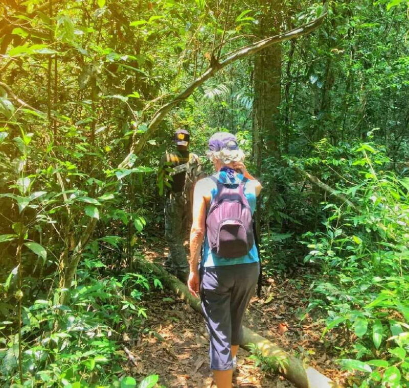 From Bangkok: Khao Yai National Park Small-Group Day Trip - Exploring Khao Yai: An Authentic Nature Experience