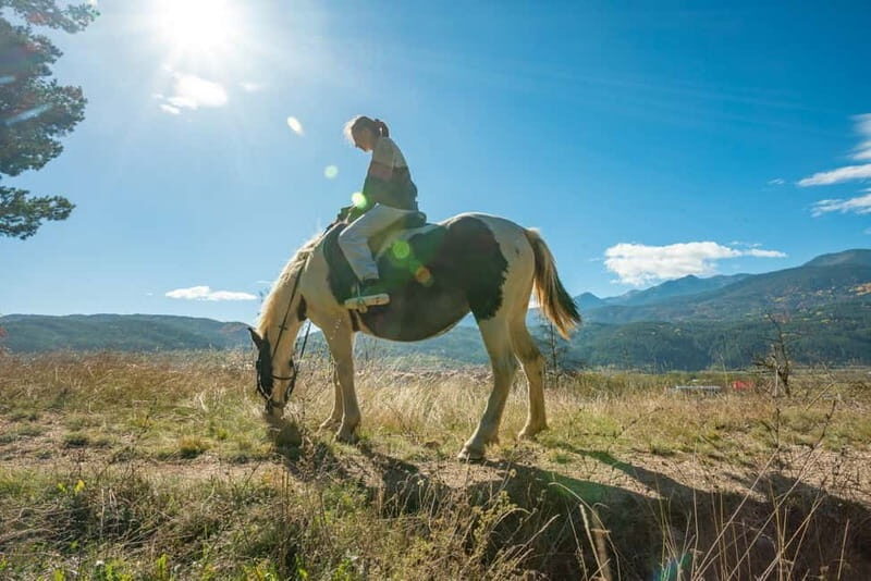 From Bansko: Horse Riding Experience - Key Points