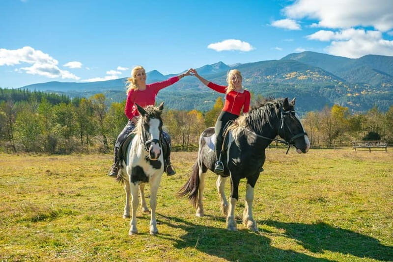 From Bansko: Horse Riding Experience - An In-Depth Look at the Horse Riding Experience
