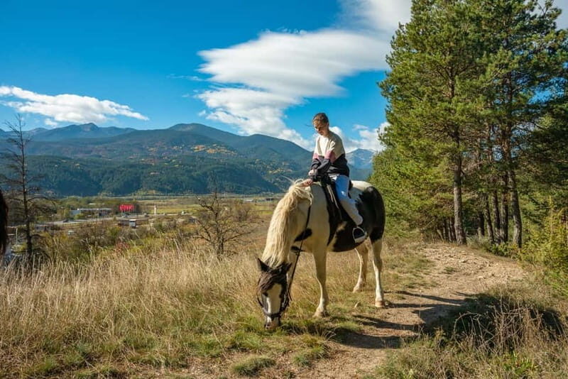 From Bansko: Horse Riding Experience - Arrival at the Dobrinishte Ranch