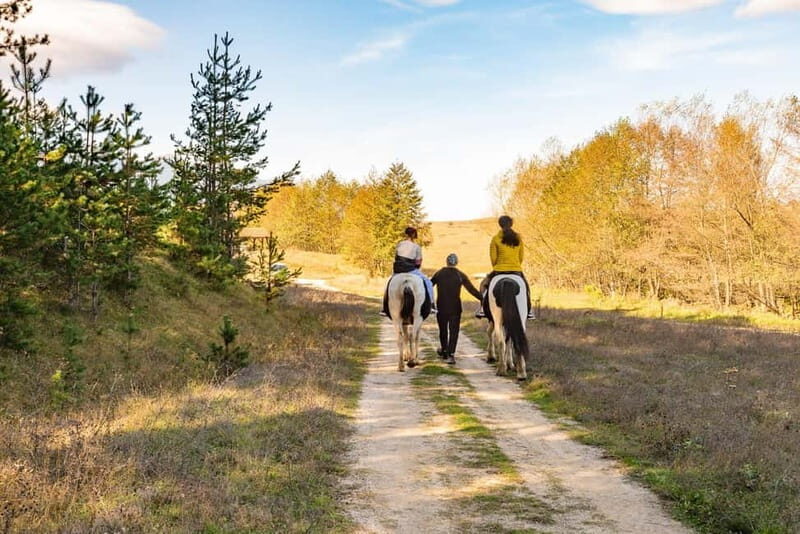From Bansko: Horse Riding Experience - The Riding: A Perfect Balance