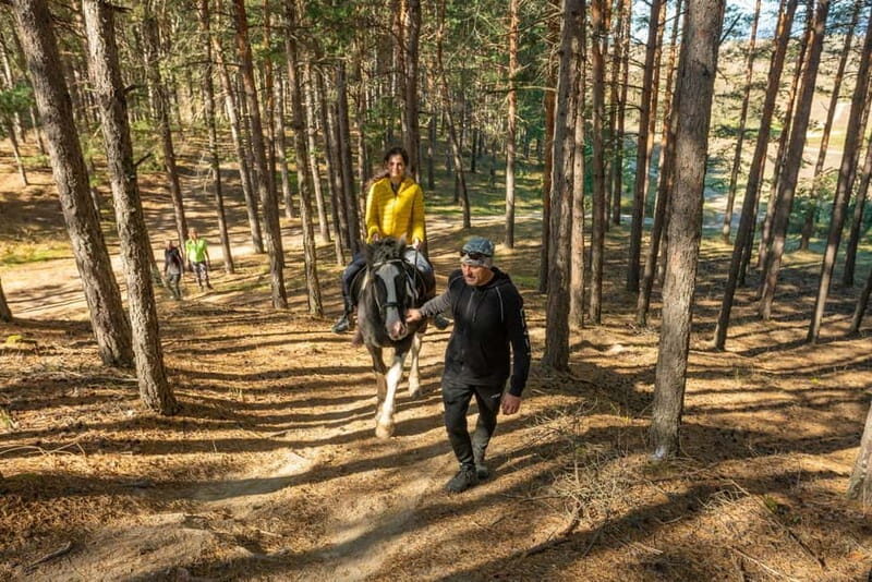 From Bansko: Horse Riding Experience - Returning to Bansko