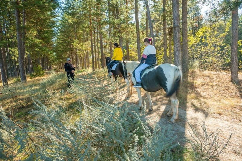 From Bansko: Horse Riding Experience - What the Reviews Say