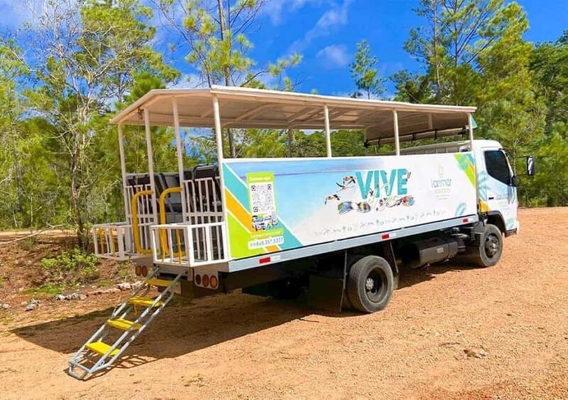 From Barahona: Guided Full-day Tour to Bahía de las Águilas - An In-Depth Look at the Tour Experience