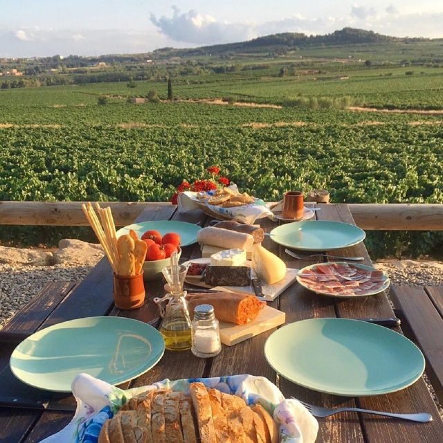 From Barcelona: 3 wineries with hotel pick-up and Lunch - A Comprehensive Look at the Catalonia Wine Tour
