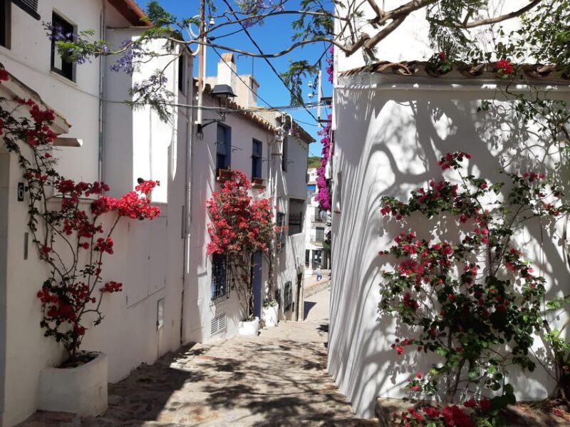 From Barcelona: Costa Brava Typical Towns full day tour - Detailed Review