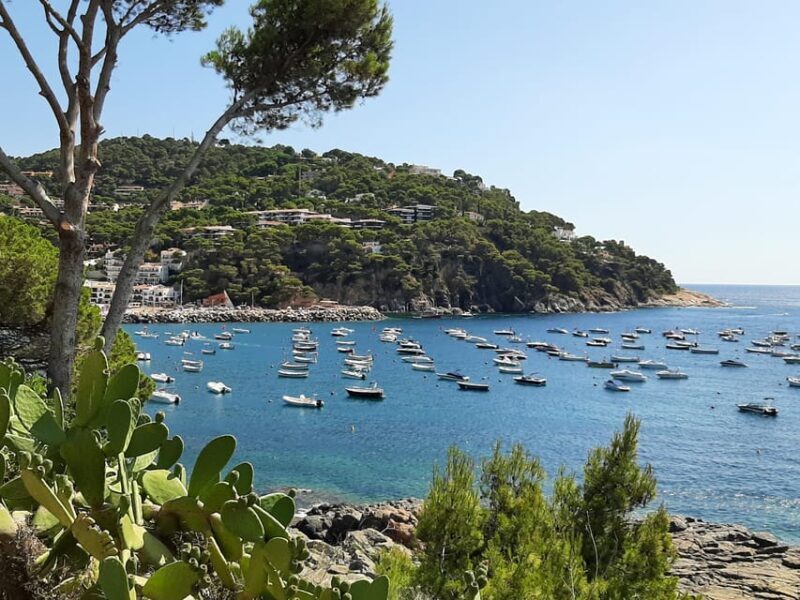 From Barcelona: Costa Brava Typical Towns full day tour - FAQ