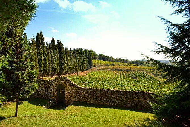 From Barcelona: El Penedès Hike & Wines - Exploring the El Penedès Hike & Wines Tour in Detail