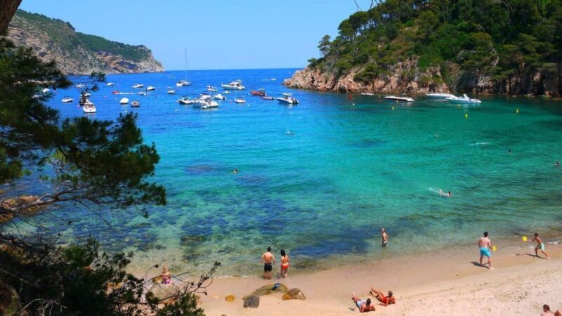 From Barcelona: Girona & Costa Brava Group Tour with Pickup - A Detailed Look at the Girona & Costa Brava Tour