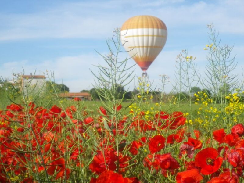 From Barcelona: Half-Day Hot Air Balloon Flight Ticket - From Barcelona: Half-Day Hot Air Balloon Flight Ticket – A Detailed Review