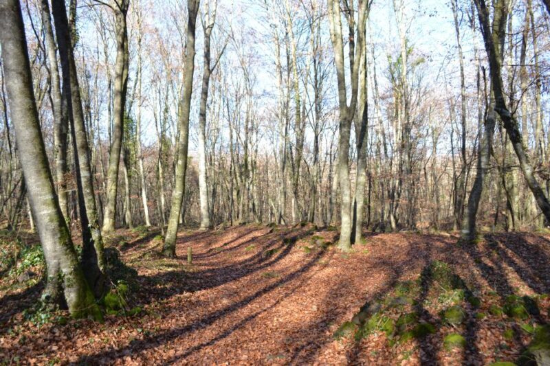 From Barcelona: Medieval Villages and Volcanic Hiking Tour - FAQs