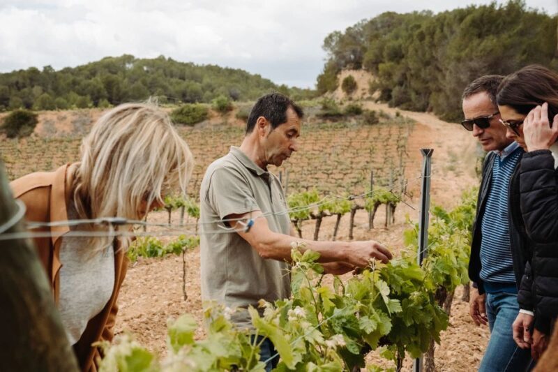 From Barcelona: Montserrat & Cava Winery Day Trip - FAQ
