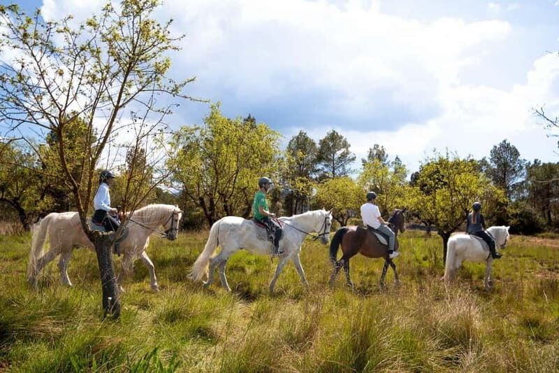 From Barcelona: Montserrat Walking and Horseback Riding Tour - In-Depth Review of the Montserrat Walking and Horseback Riding Tour
