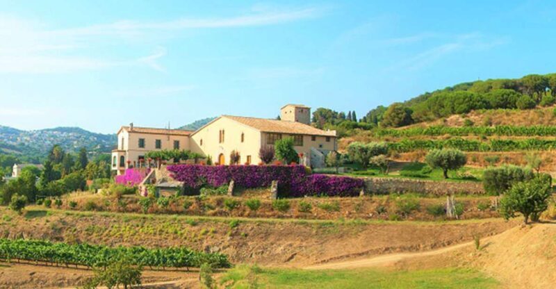 From Barcelona: Private Alella Wine Tour by Electric Bike - Authentic Praise from Travelers