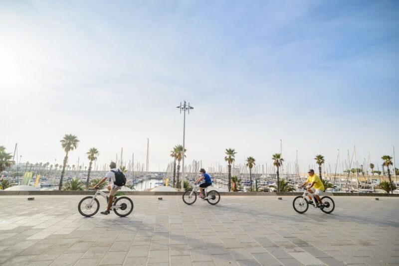 From Barcelona: Private Alella Wine Tour by Electric Bike - Who Is This Tour Perfect For?