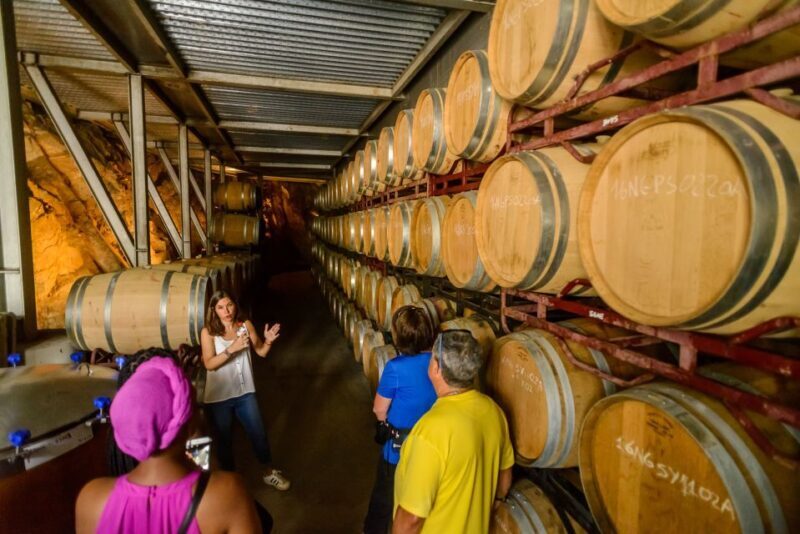 From Barcelona: Private Alella Wine Tour by Electric Bike - The Sum Up