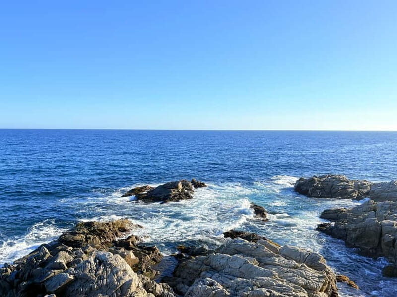 From Barcelona: Private Costa Brava Guided Tour - Final Thoughts