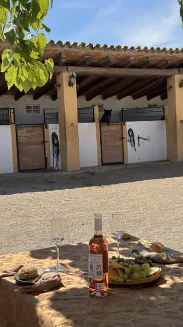 From Barcelona: PRIVATE Horseback Ride + Tapas + Picnic - A Gourmet Picnic in the Countryside