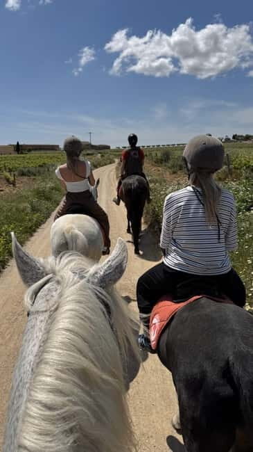 From Barcelona: PRIVATE Horseback Ride + Tapas + Picnic - Returning to Barcelona