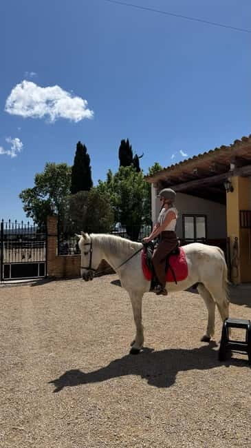 From Barcelona: PRIVATE Horseback Ride + Tapas + Picnic - Who Will Love This Tour?