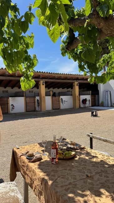 From Barcelona: PRIVATE Horseback Ride + Tapas + Picnic - Practical Tips for Enjoying the Tour
