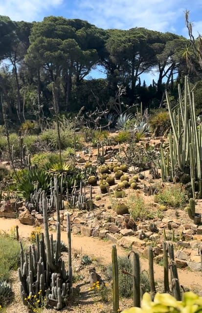 From Barcelona: PRIVATE Marimurtra Garden and Blanes Tour - Who Should Consider This Tour?